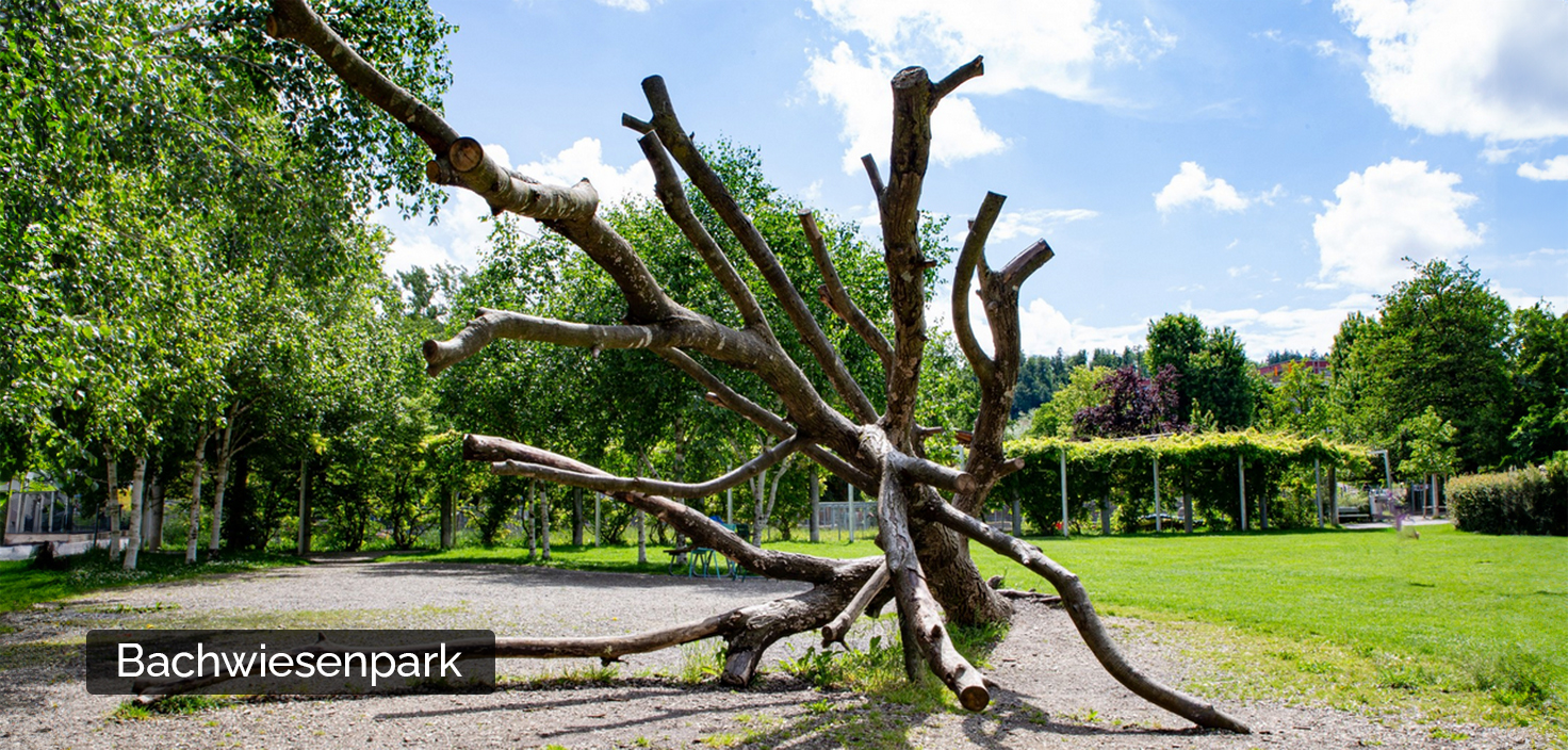 Bachwiesenpark